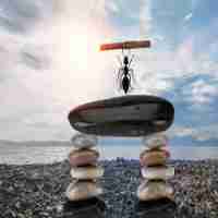 高​精﻿度‌图‌像‍识‍别​